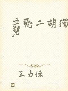 宋飞二胡独奏九儿