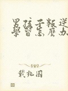 男孩子叛逆期不学习怎么办封面