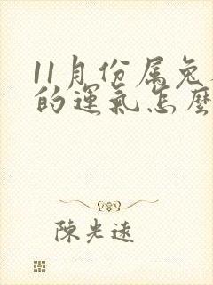 11月份属兔人的运气怎么样