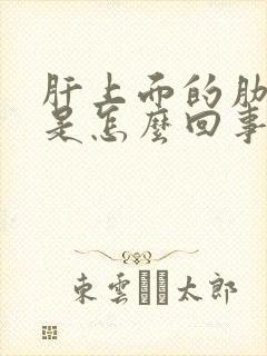 肝上面的肋骨疼是怎么回事