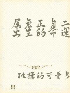 属兔正月二十四出生的命运