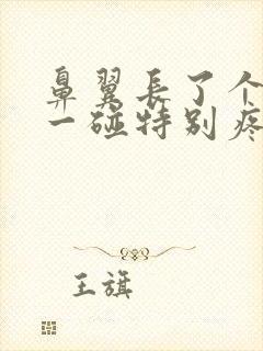 鼻翼长了个痘痘一碰特别疼