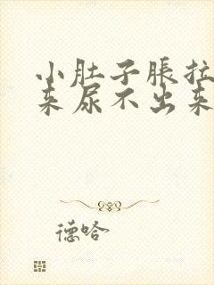 小肚子胀拉不出来尿不出来是什么原因封面