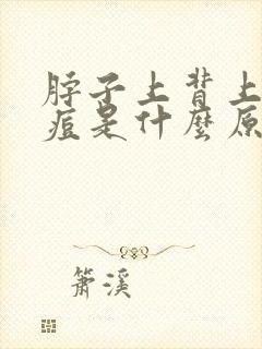 脖子上背上长痘痘是什么原因