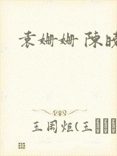 袁姗姗 陈晓封面