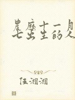 农历十一月二十七出生的人命运