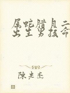 属蛇腊月二十二出生男孩命运