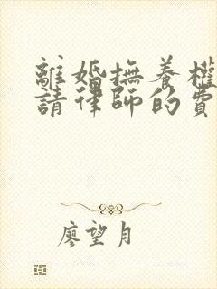 离婚抚养权纠纷请律师的费用