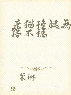 老猫后腿无力走路不稳