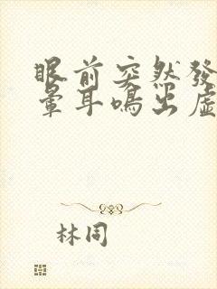 眼前突然发黑头晕耳鸣出虚汗想吐封面