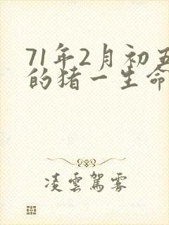 71年2月初五的猪一生命运如何封面