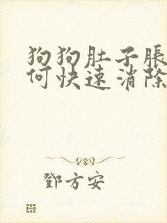 狗狗肚子胀气如何快速消除封面