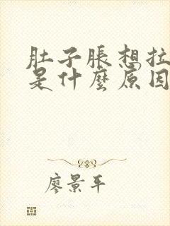 肚子胀想拉大便是什么原因