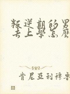 叛逆期的男孩不去上学怎么办