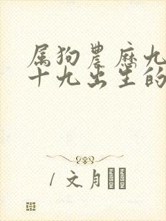 属狗农历九月二十九出生的人命运怎么样