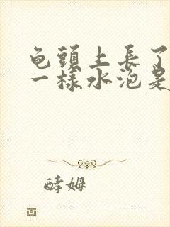 龟头上长了痱子一样水泡是什么