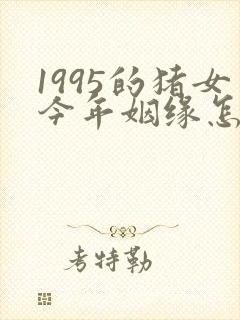 1995的猪女今年姻缘怎样