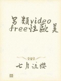 另类videofree性欧美