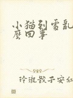 小猫到处乱尿怎么回事