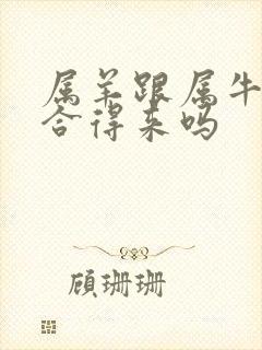 属羊跟属牛的人合得来吗