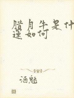 腊月牛是什么命运如何