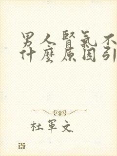 男人肾气不足是什么原因引起的封面