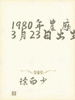 1980年农历3月23日出生人的命运