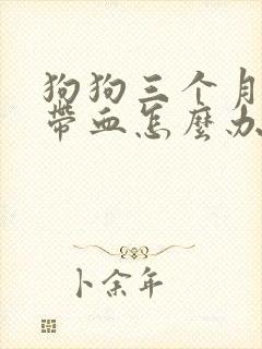 狗狗三个月拉稀带血怎么办封面