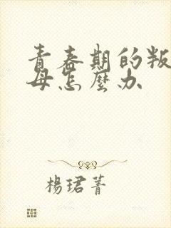 青春期的叛逆父母怎么办封面