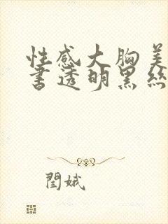 性感大胸美女秘书透明黑丝封面