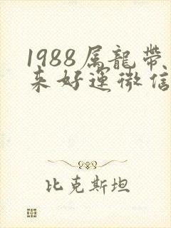 1988属龙带来好运微信名