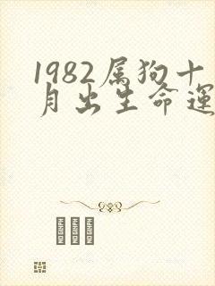 1982属狗十月出生命运如何封面
