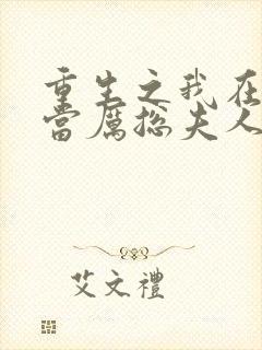 重生之我在厉家当厉总夫人2