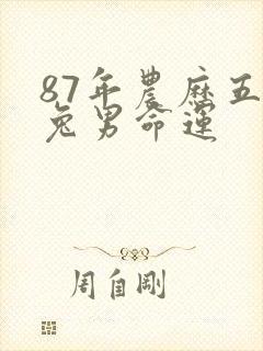 87年农历五月兔男命运