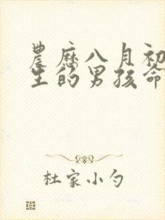 农历八月初一出生的男孩命运怎么样封面