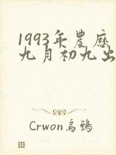 1993年农历九月初九出生的人命运如何