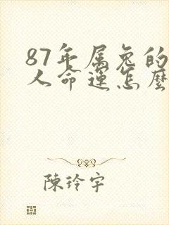 87年属兔的女人命运怎么样