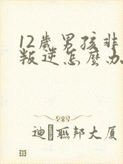 12岁男孩非常叛逆怎么办