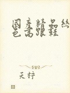 国产精品丝祙黑色高跟鞋