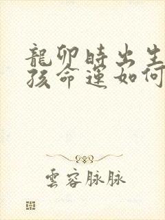 龙卯时出生的男孩命运如何封面