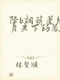 降b调葫芦丝《月光下的凤尾竹