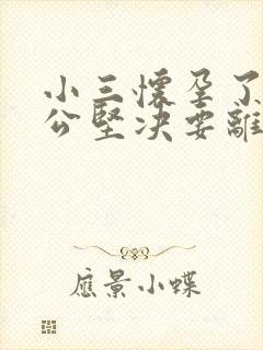 小三怀孕了,老公坚决要离婚