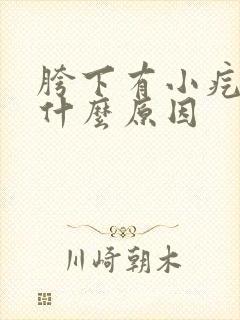 胯下有小疙瘩是什么原因