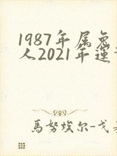 1987年属兔人2021年运势及运程封面