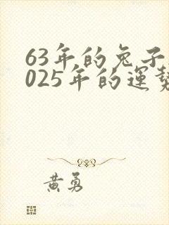 63年的兔子2025年的运势
