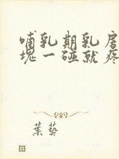 哺乳期乳房有硬块一碰就疼