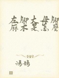 左脚大母脚趾头麻木是怎么回事木