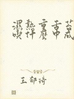 湿热重舌苔白厚吃什么中成药