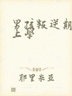 男孩叛逆期不想上学封面