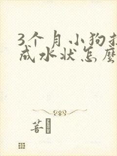 3个月小狗拉稀成水状怎么办